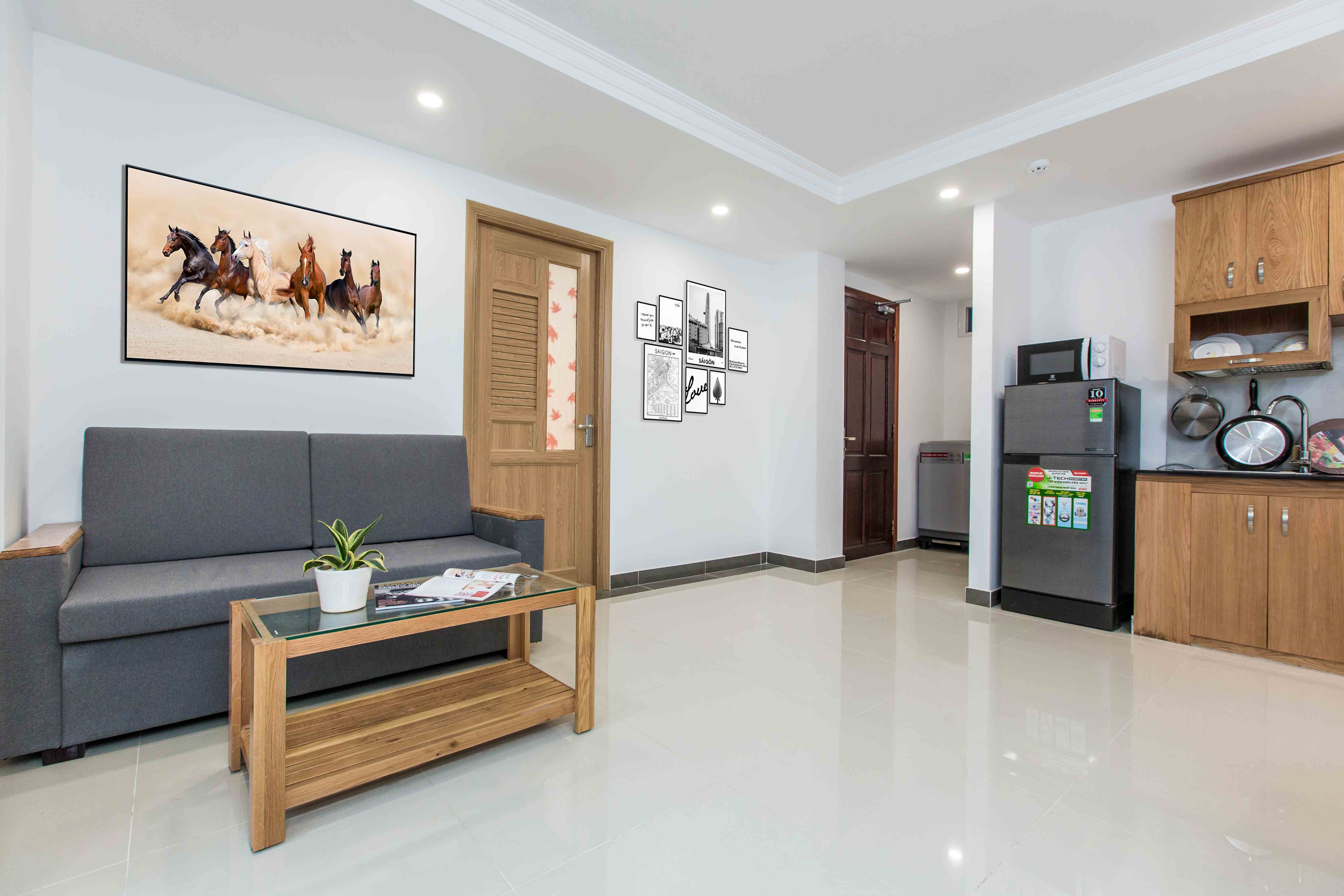 New serviced apartment for rent in District 2, Thao Dien ward HCMC